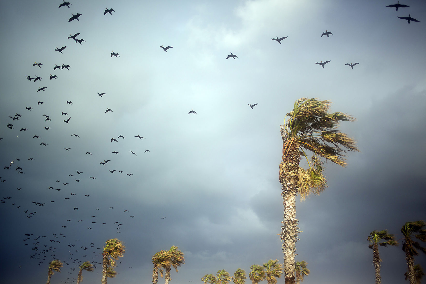 Israel Weather